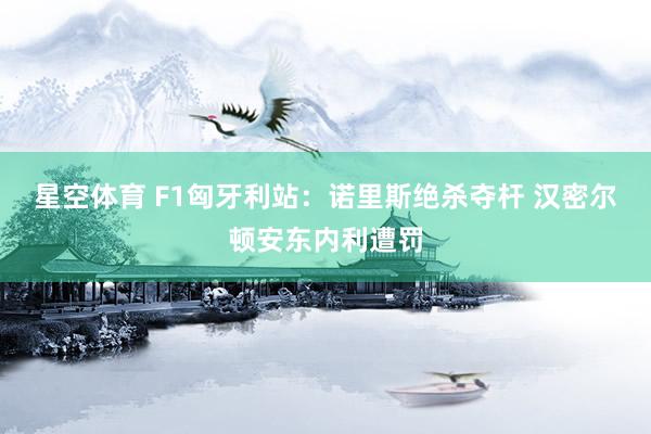 星空体育 F1匈牙利站：诺里斯绝杀夺杆 汉密尔顿安东内利遭罚